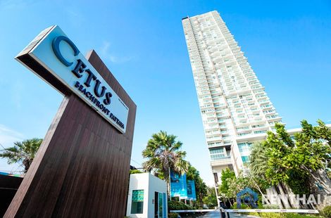 Cetus - photo 3