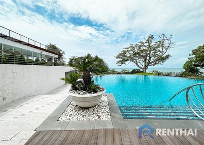 The Cove - รูปภาพ 16