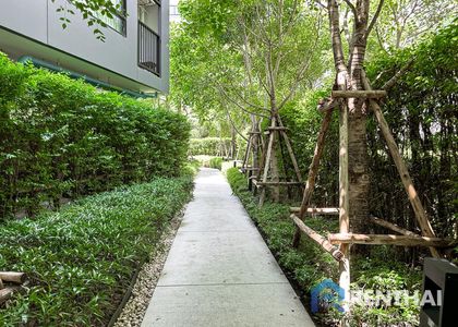 Vay Pothisan II - รูปภาพ 5