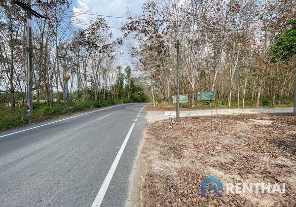 ที่ดิน 7917 ตร.ว. - รูปภาพ 1