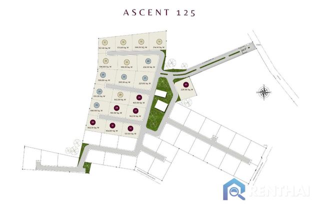 แผนผังโครงการ