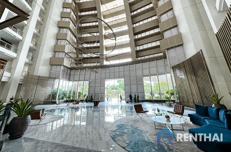 The Cove - รูปภาพ 3