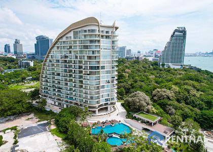 The Cove - รูปภาพ 24