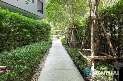 Vay Pothisan II - รูปภาพ 5