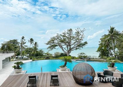 The Cove - รูปภาพ 2