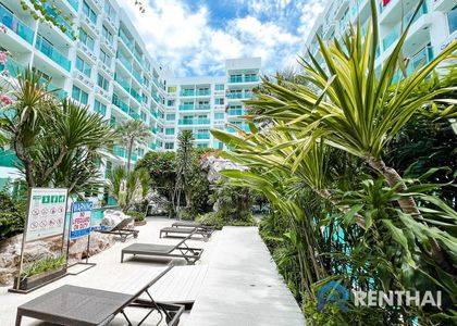 Amazon Residence - photo 4