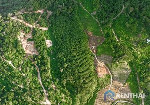 Land 3511 sq.w. - photo 3