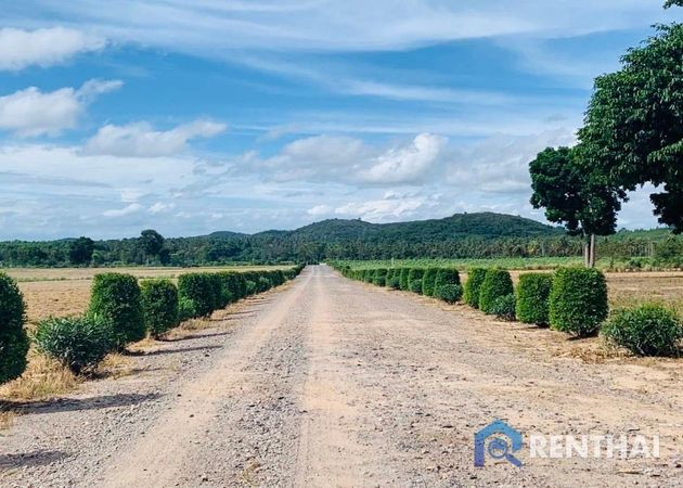 ที่ดิน 1986 ตร.ว. - รูปภาพ 1