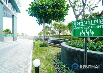 Del Mare (เดล มาเร่) - รูปภาพ 7
