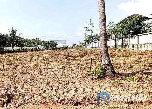ที่ดิน 2500 ตร.ว. - รูปภาพ 1
