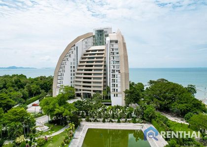 The Cove - รูปภาพ 15