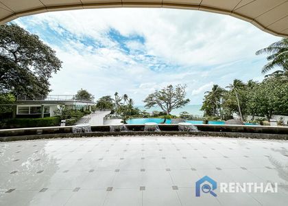 The Cove - รูปภาพ 11