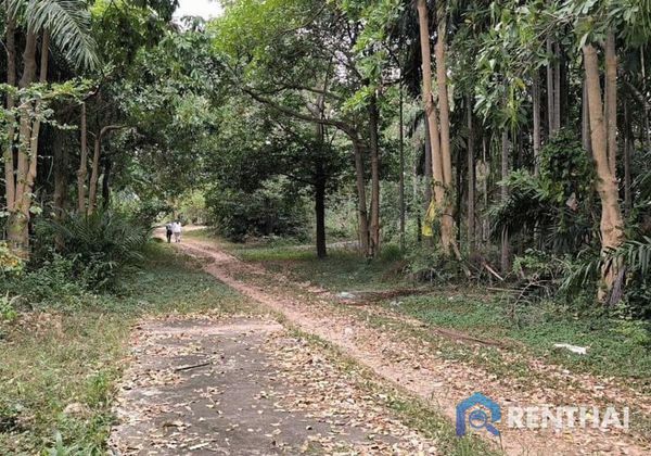 Land 1600 sq.w. - photo 2