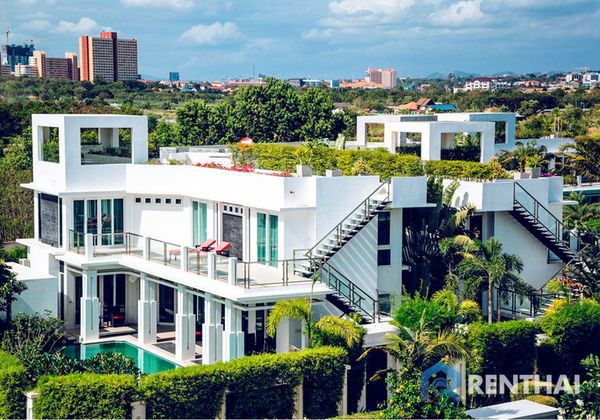 Palm Oasis - รูปภาพ