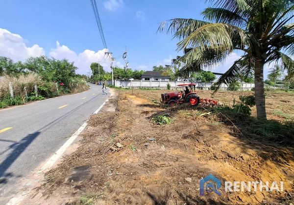 ที่ดิน 2500 ตร.ว. - รูปภาพ 3