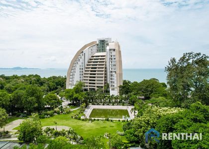 The Cove - รูปภาพ 25