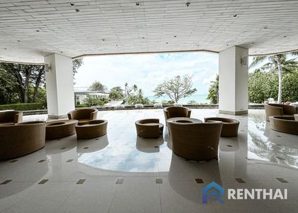 The Cove - รูปภาพ 20