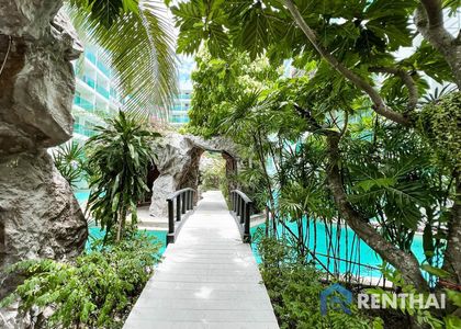 Amazon Residence - photo 6