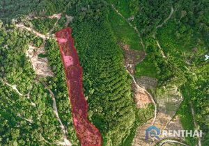 Land 3511 sq.w. - photo 4