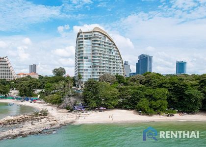 The Cove - รูปภาพ 13