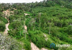 Land 3511 sq.w. - photo 2