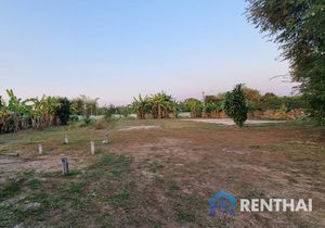 Land 3447 sq.w. - photo 4
