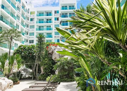 Amazon Residence - photo 8