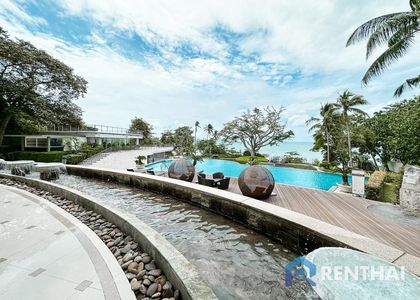 The Cove - รูปภาพ 21