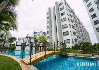 Arcadia Beach Resort - фото 17