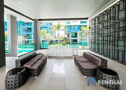 Acqua - รูปภาพ 6