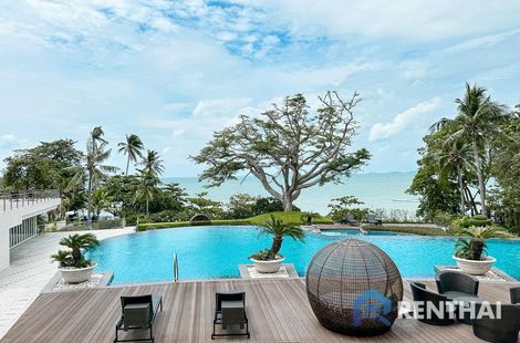 The Cove - รูปภาพ 2