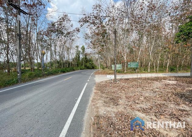ที่ดิน 7917 ตร.ว. - รูปภาพ 1