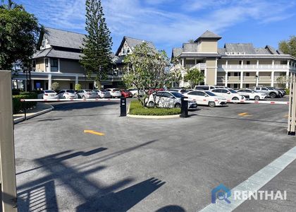 Allamanda 3 - รูปภาพ 6