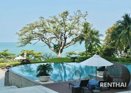 The Cove - รูปภาพ 7