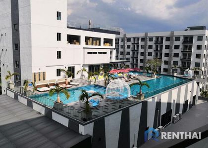 Arcadia Beach Resort - фото 20