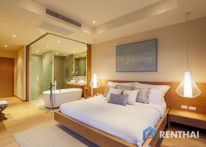 Trichada Tropical - รูปภาพ 11