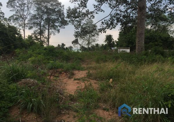 Land 400 sq.w. - photo 1