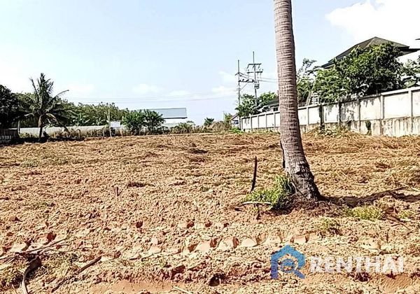 ที่ดิน 2500 ตร.ว. - รูปภาพ 1