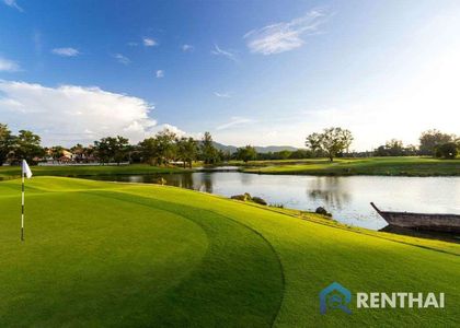 Banyan Tree - photo 7