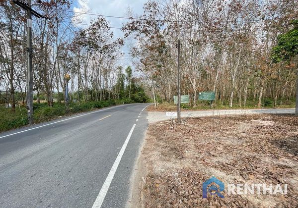 ที่ดิน 7917 ตร.ว. - รูปภาพ 1